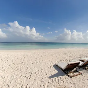 https://hotel-esencia.allrivieramayahotels.com